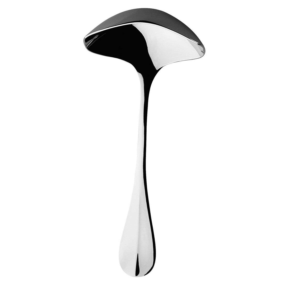 Image du produit: BLOIS MIROIR Cuillère à sauce