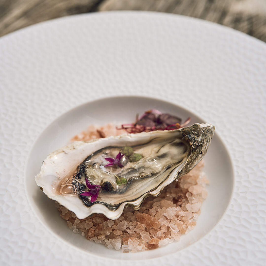 COLLECTION L FRAGMENT BLANC Assiette gourmet petit bassin 27.9 cm