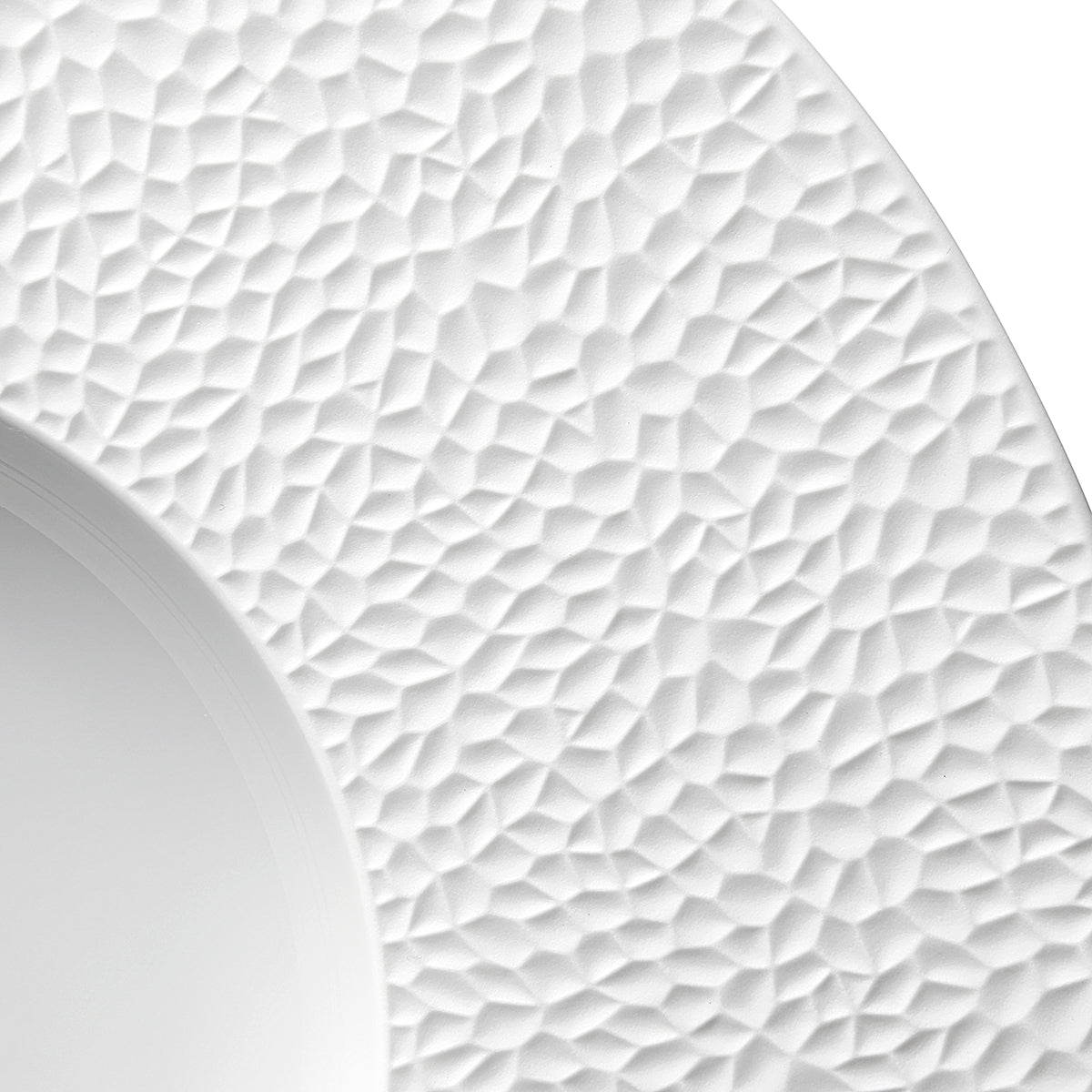 Image du produit: COLLECTION L FRAGMENT BLANC Assiette gourmet grand bassin 30 cm